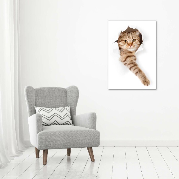 Verticaal schilderij op canvas Kat