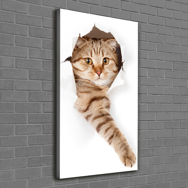 Verticaal schilderij op canvas Kat
