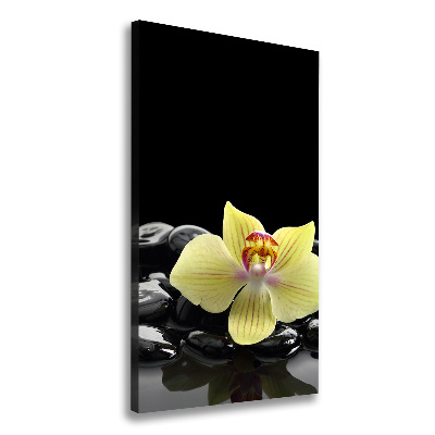 Verticaal schilderij op canvas Orchidee en stenen