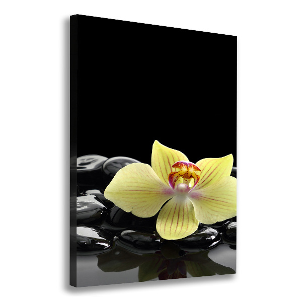 Verticaal schilderij op canvas Orchidee en stenen