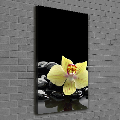 Verticaal schilderij op canvas Orchidee en stenen