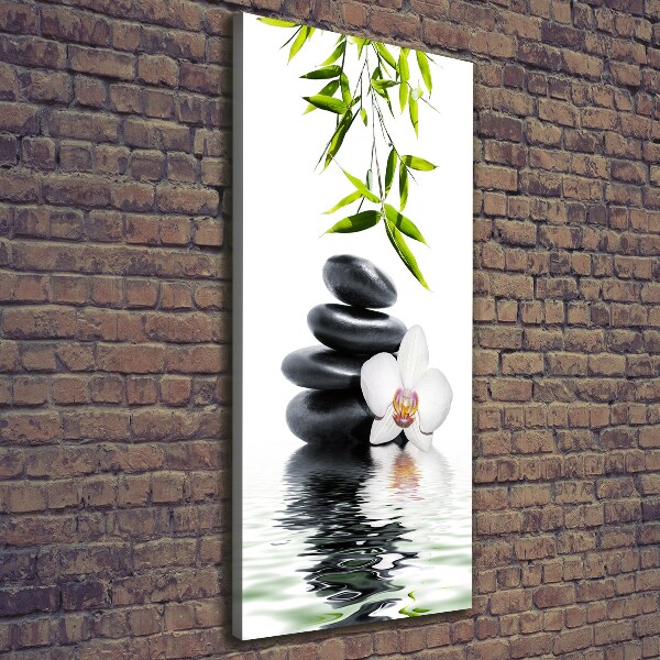 Verticale canvasfoto Orchidee en stenen