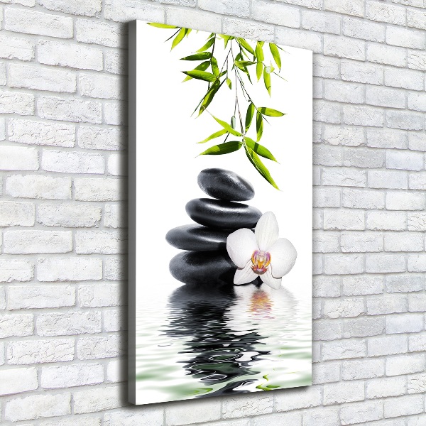 Verticale canvasfoto Orchidee en stenen