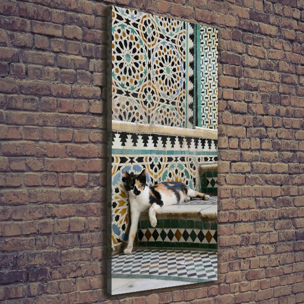 Verticale canvasfoto Een kat in Marokko