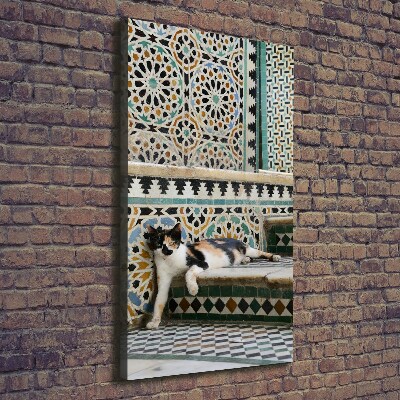 Verticale canvasfoto Een kat in Marokko