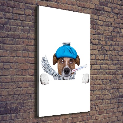 Verticale canvasfoto Zieke hond