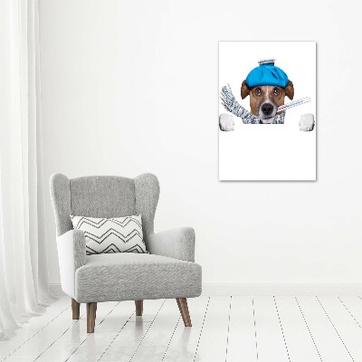 Verticale canvasfoto Zieke hond