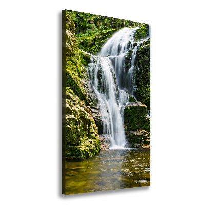 Verticale canvasfoto Waterval