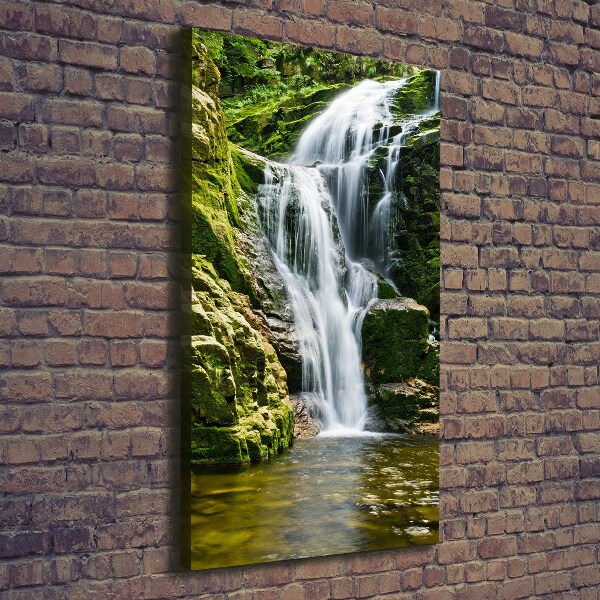 Verticale canvasfoto Waterval