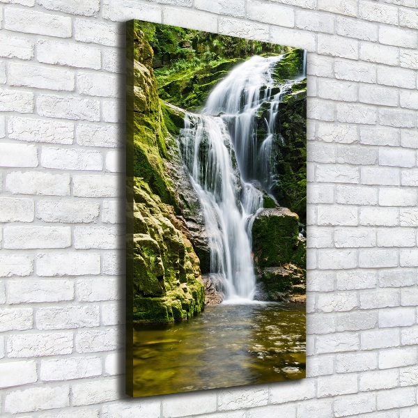 Verticale canvasfoto Waterval