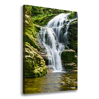 Verticale canvasfoto Waterval