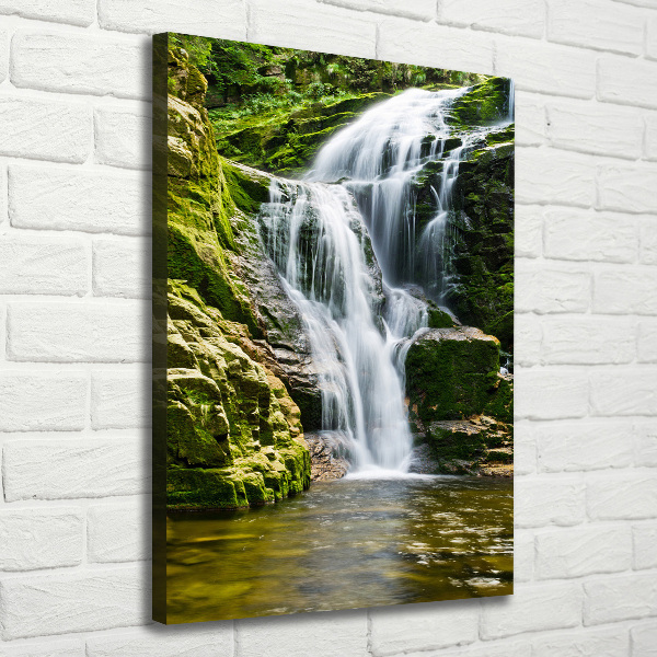 Verticale canvasfoto Waterval