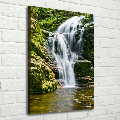 Verticale canvasfoto Waterval