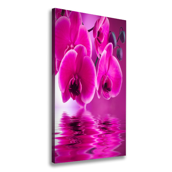 Verticale foto op canvas Roze orchidee