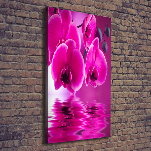 Verticale foto op canvas Roze orchidee