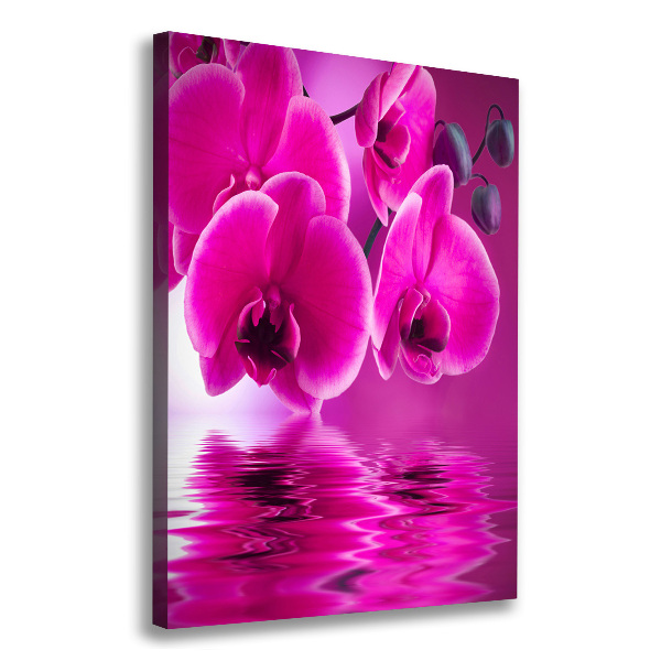 Verticale foto op canvas Roze orchidee