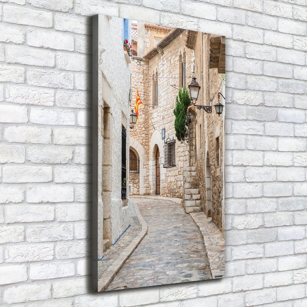 Verticaal canvasschilderij Straten in Spanje