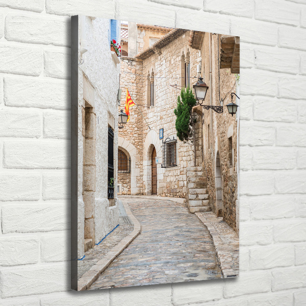 Verticaal canvasschilderij Straten in Spanje