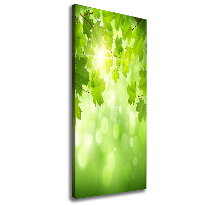 Verticaal canvasschilderij Groene bladeren
