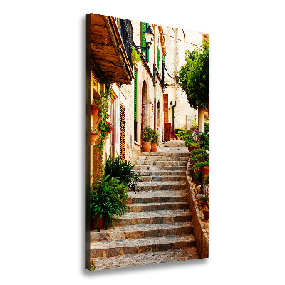 Verticale foto op canvas Straten in Spanje