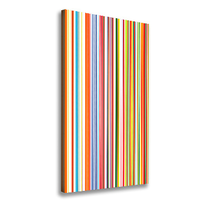 Verticaal schilderij op canvas Kleurrijke strepen