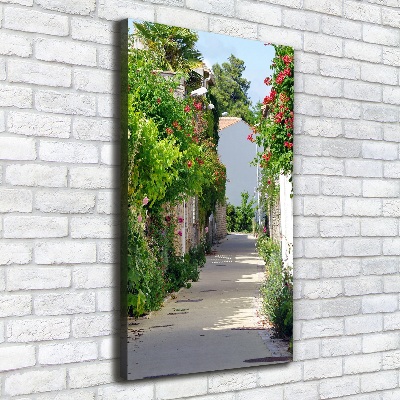 Verticaal schilderij op canvas Franse straten