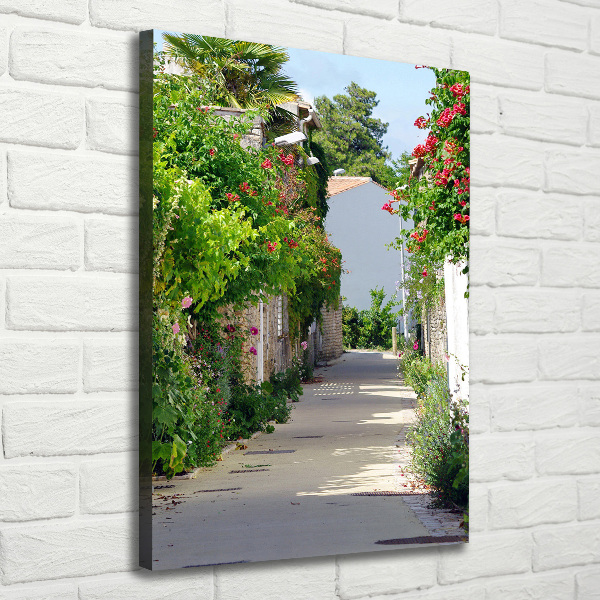 Verticaal schilderij op canvas Franse straten