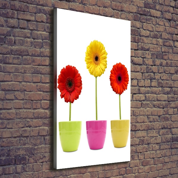 Verticaal schilderij op canvas Kleurrijke gerbera's