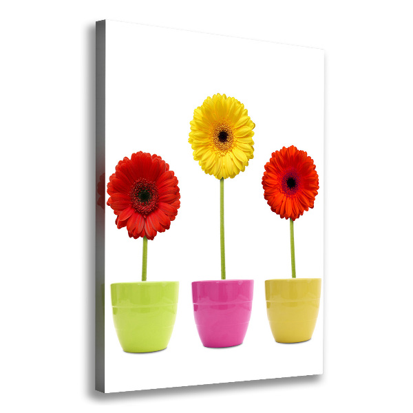 Verticaal schilderij op canvas Kleurrijke gerbera's
