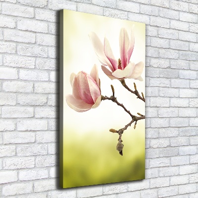 Verticale foto op canvas Magnolia bloemen
