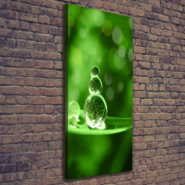 Verticale canvasfoto Druppels op het gras