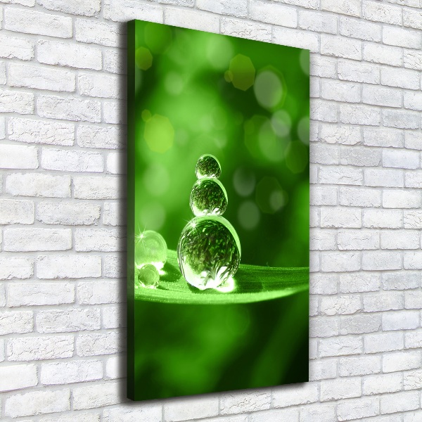 Verticale canvasfoto Druppels op het gras