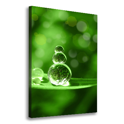 Verticale canvasfoto Druppels op het gras
