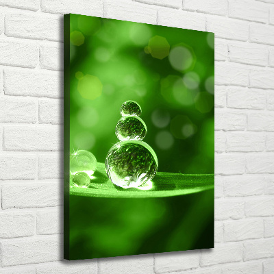 Verticale canvasfoto Druppels op het gras