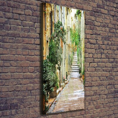 Foto obraz na płótnie pionowy Włoskie uliczki