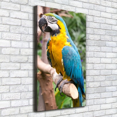Foto obraz na płótnie do salonu pionowy Papuga Ara