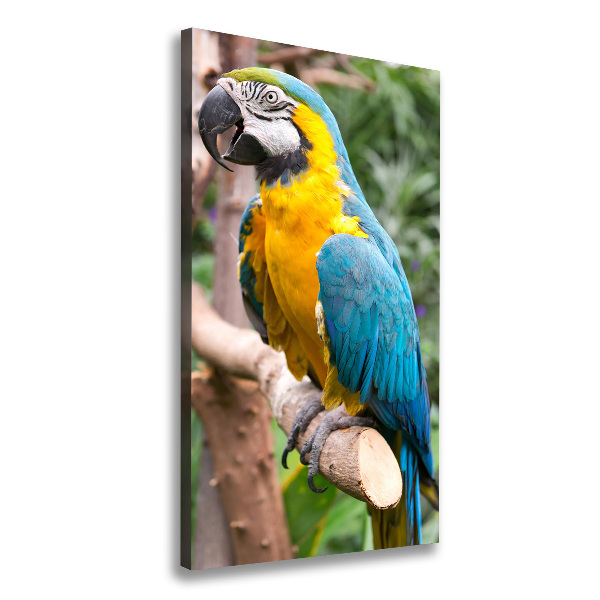Verticale foto op canvas Ara Papegaai