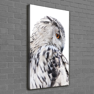 Verticale canvasfoto Witte uil