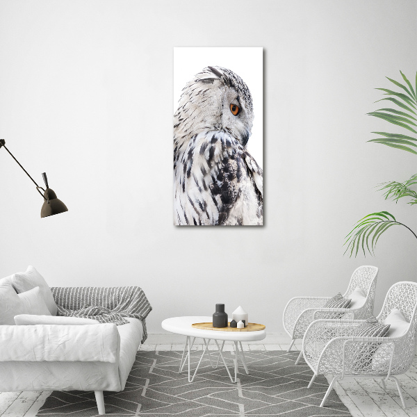 Verticale canvasfoto Witte uil
