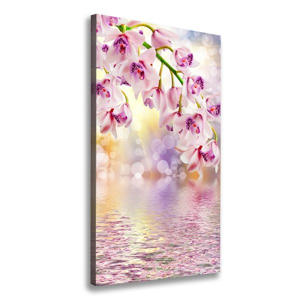 Verticale foto op canvas Orchidee
