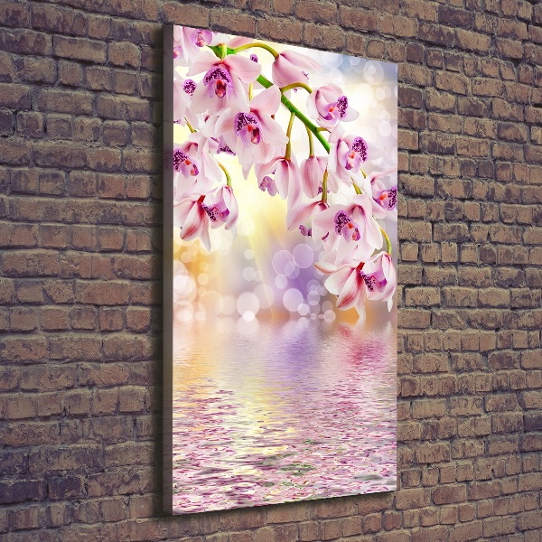Verticale foto op canvas Orchidee