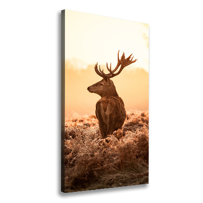 Foto obraz na płótnie pionowy Jeleń wschód słońca