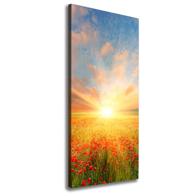 Verticale foto op canvas Klaprozenveld