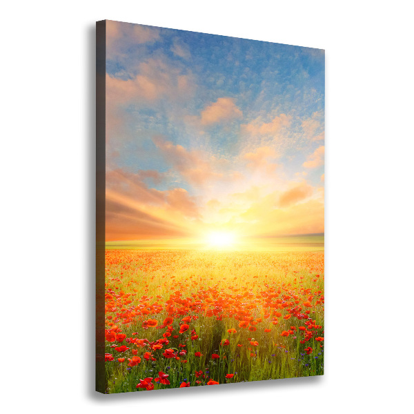 Verticale foto op canvas Klaprozenveld