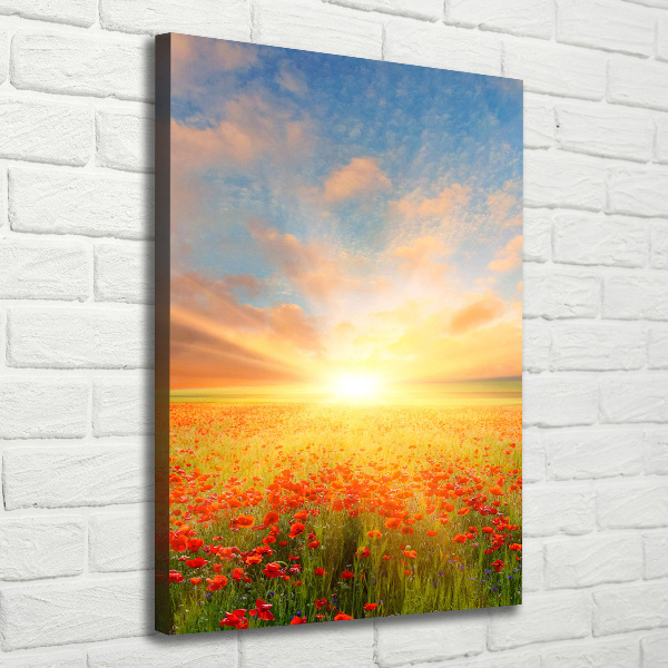 Verticale foto op canvas Klaprozenveld