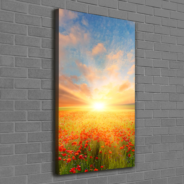 Verticale foto op canvas Klaprozenveld