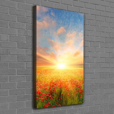 Verticale foto op canvas Klaprozenveld