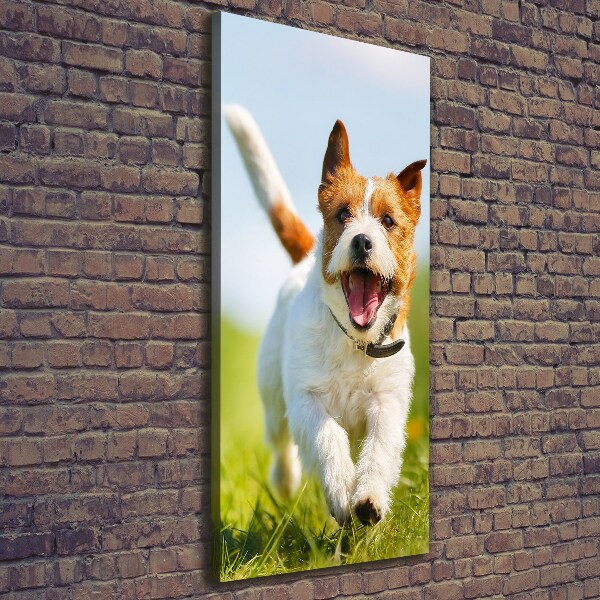 Verticale canvasfoto Jack Russell hond