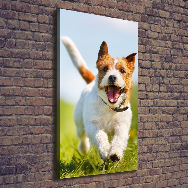 Verticale canvasfoto Jack Russell hond