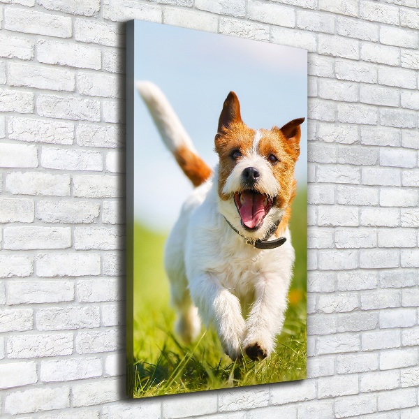 Foto obraz na płótnie pionowy Pies Jack Russell